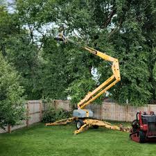 Best Landscape Design and Installation  in Woodlake, CA